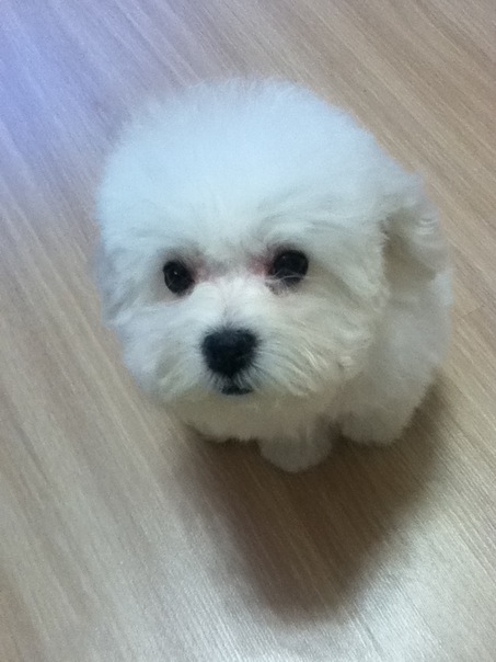 Дима Ерещенко фото №26