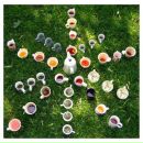 Фотография Энергии-Чой Пуэр