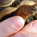 Каріно4ка♥ Шрамко фотография #6 (источник - https://vk.com/id147791993)