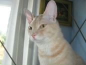 Фотография Шнайдера Стаса