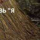 Євген Саган фотография #36 (источник - https://vk.com/id140823072)