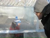 Фотография Носова Ильи