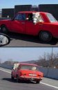 Йовжі Бачі фотография #12 (источник - https://vk.com/id61358014)