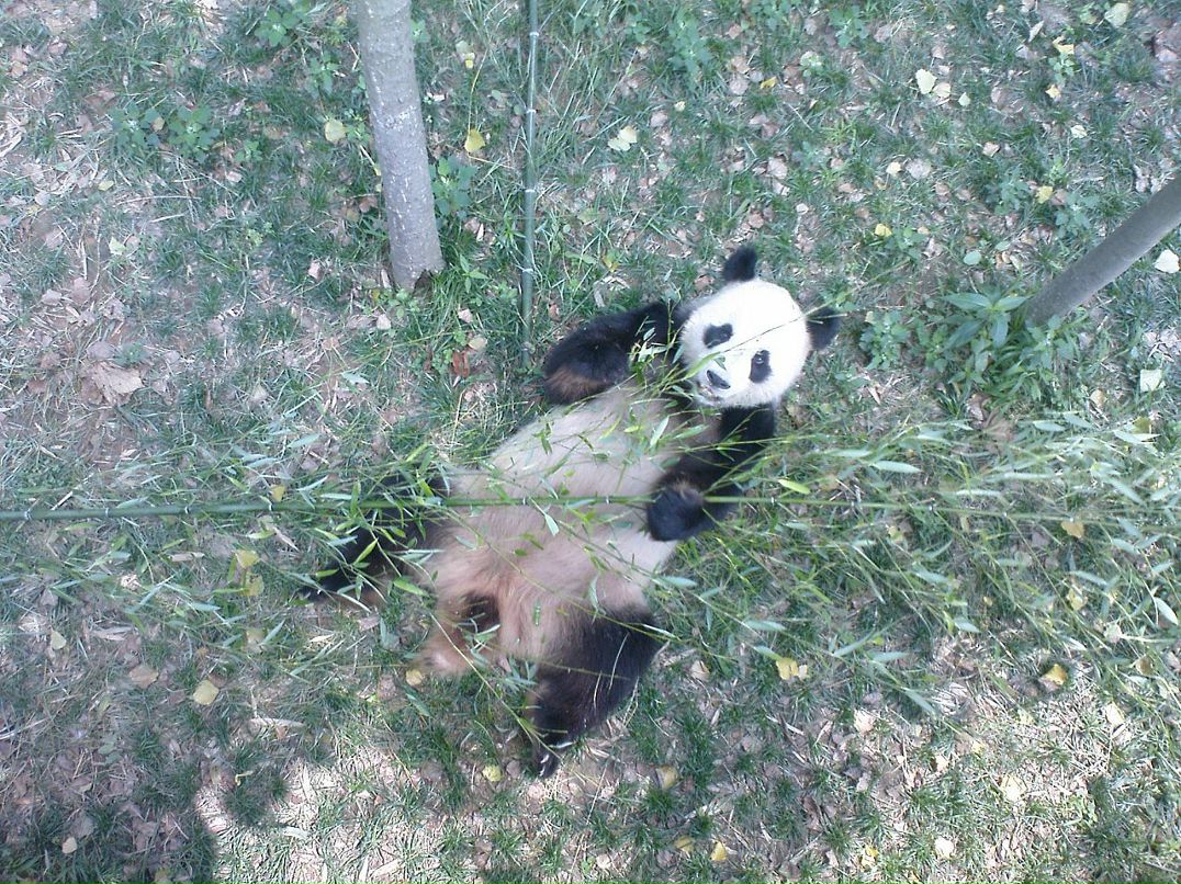 Дмитрий Тимохин фотография #37