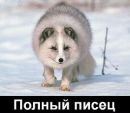 Ігор Одарченко фотография #24 (источник - https://vk.com/id19866326)