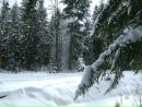 Віктор Перхулин фотография #18 (источник - https://vk.com/id77990256)