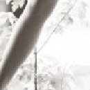 Ленусічка Пусічка фотография #29 (источник - https://vk.com/id85132007)