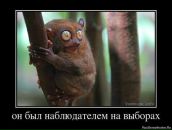 Фотография Сараджишвили Арчила