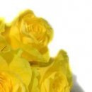 Василь Дмитрів фотография #46 (источник - https://vk.com/id98013424)