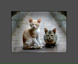 Mark Maisner фотография #48 (источник - https://vk.com/id934960)