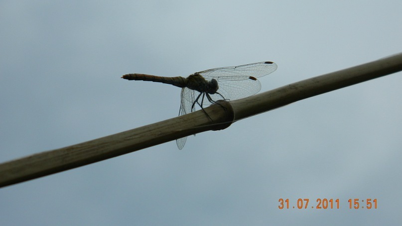 Александр :) фотография #47