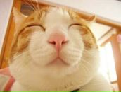 Фотография Байбуриной Алины