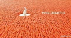 Фотография Никитиной Анны