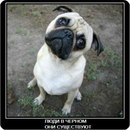 Станіслав Крюков фотография #46 (источник - https://vk.com/id99811005)