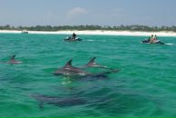 Фотография Касьяновой Дианы