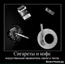 Петро Ліневич фотография #36 (источник - https://vk.com/id96289552)