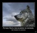 Назарій Федик фотография #47 (источник - https://vk.com/id19183874)