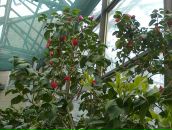 Світлана Савіцька фотография #31 (источник - https://vk.com/id91957355)