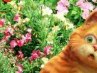 Ігор Мельникович фотография #27 (источник - https://vk.com/id164695500)