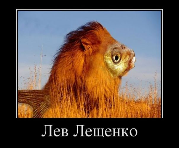 Дмитрий Иванов фото №27