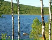 Фотография Корниенко Ирины