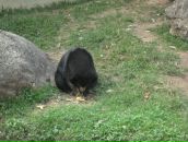 Клевый Парень фотография #42 (источник - https://vk.com/id391001)