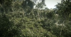 Петро Кутаєв фотография #10 (источник - https://vk.com/id21056255)