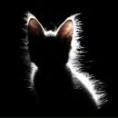 Фотография Коробейниковой Елены