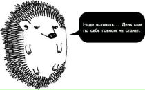 Вова Миколаїв фотография #17 (источник - https://vk.com/id88499326)