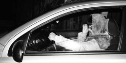 Фотография Бобровой Светланы