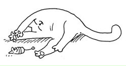 Фотография Морозовой Дарьи