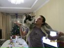 Фотография Mormul Dimka