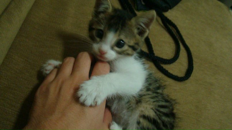 Hakob Azatyan фотография #8