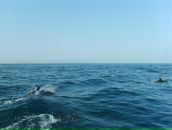 Фотография Арекаевой Кати