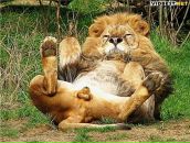 Фотография Нескажу Константина