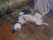 Дима Пилипчук фотография #15 (источник - https://vk.com/id20813129)