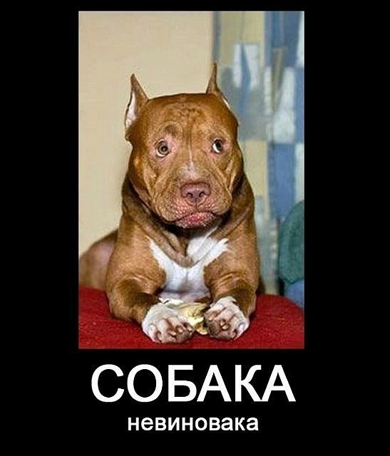 Женя Петрова фотография #2