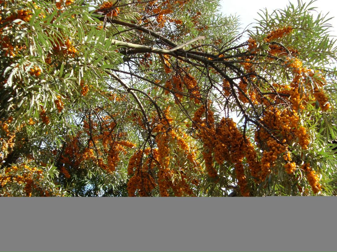 Виктор Башкин фотография #39