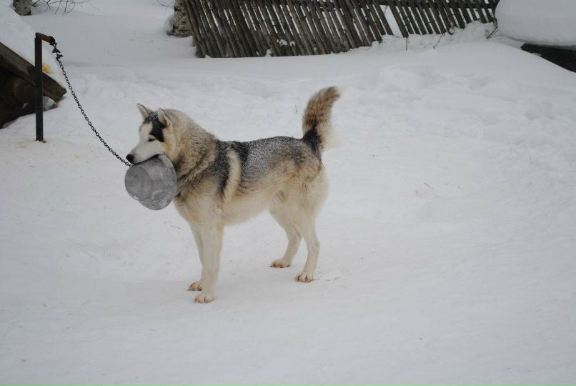 Катя Бутенко фотография #34