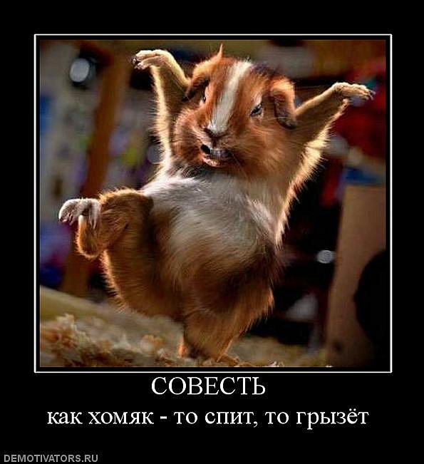 Иван Иванов фотография #22