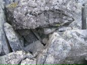 Иван Паньков фотография #13 (источник - https://vk.com/id746503)