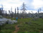 Иван Паньков фотография #16 (источник - https://vk.com/id746503)