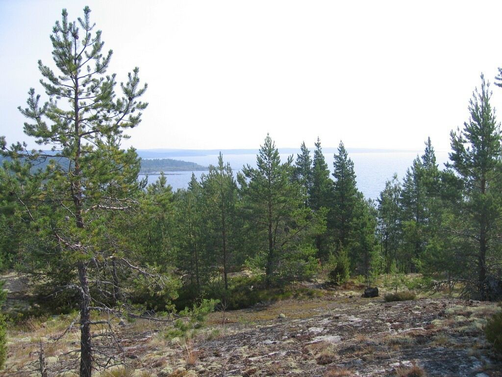 Иван Паньков фотография #8