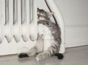 Фотография Каленской Дарьи