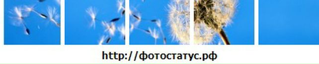 Юлія Довгань фотография #24 (источник - https://vk.com/id77696009)