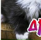 Іра Горбатюк фотография #21 (источник - https://vk.com/id59782388)