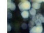 Софія Борецька фотография #17 (источник - https://vk.com/id44366419)