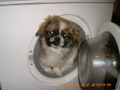 Діма Осипчук фотография #32 (источник - https://vk.com/id145158045)