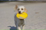 Фотография Павличенко Ирины