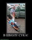 Фотография Кристольского Андрея